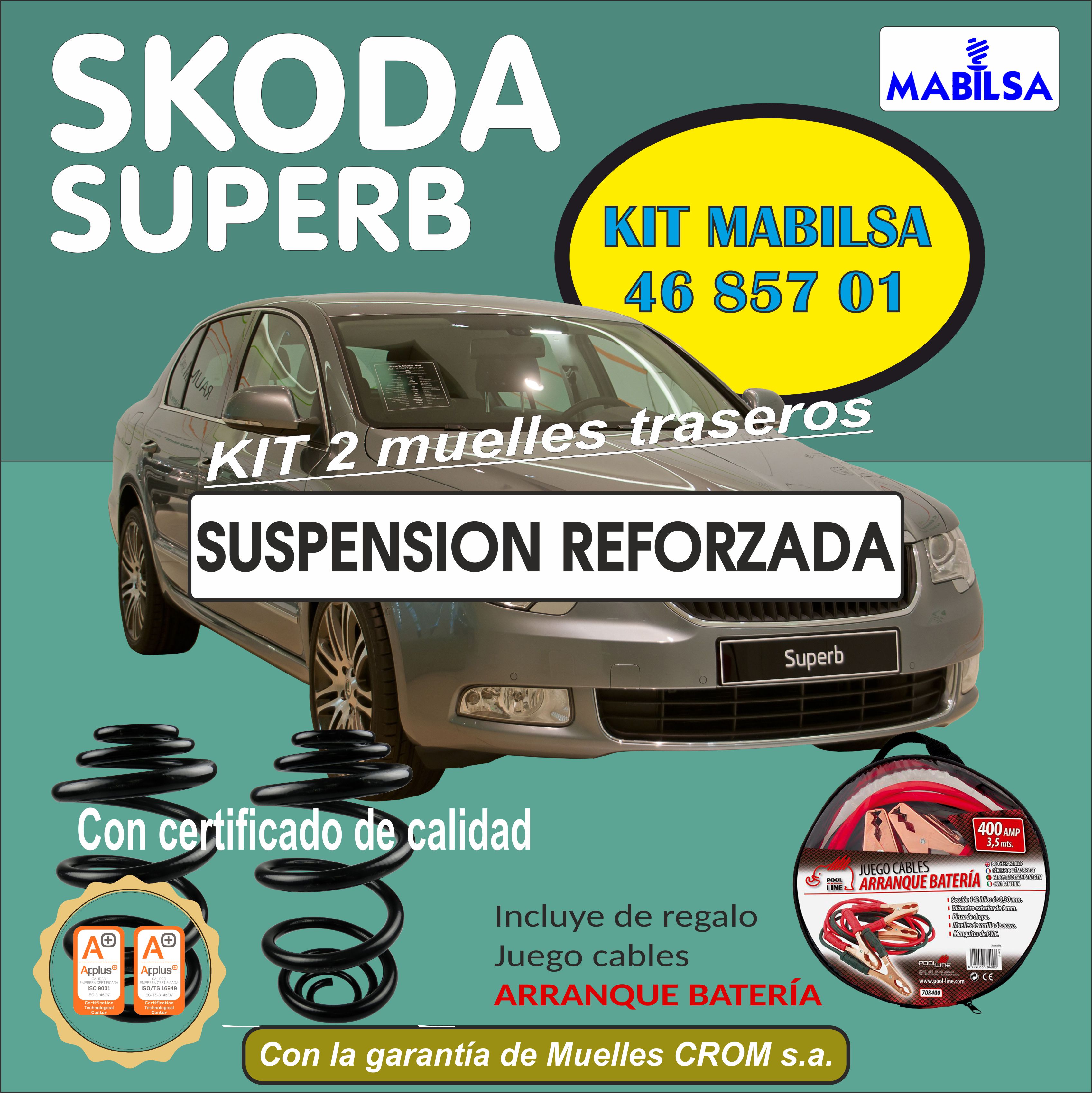 SKODA SUPER B ANCHO CUADRADO