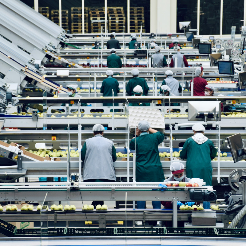 Fabricación de muelles para el sector Alimentario
