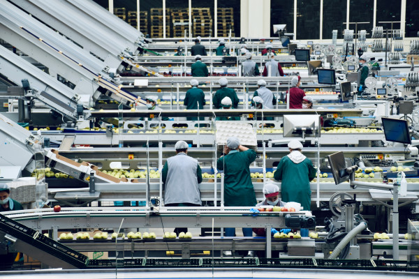 Fabricación de muelles para el sector Alimentario